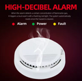 High-Decibel Smoke Detector with Flashing Red LED